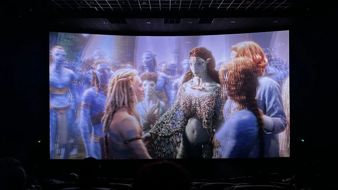 萝娜尔、蜘蛛与格蕾丝